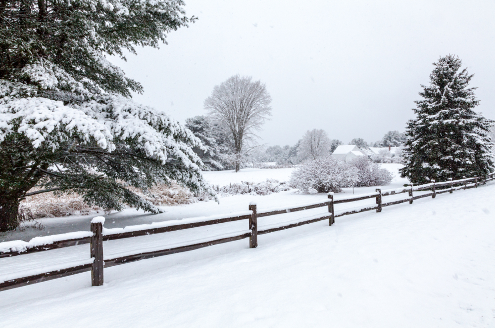 Untrodden snow