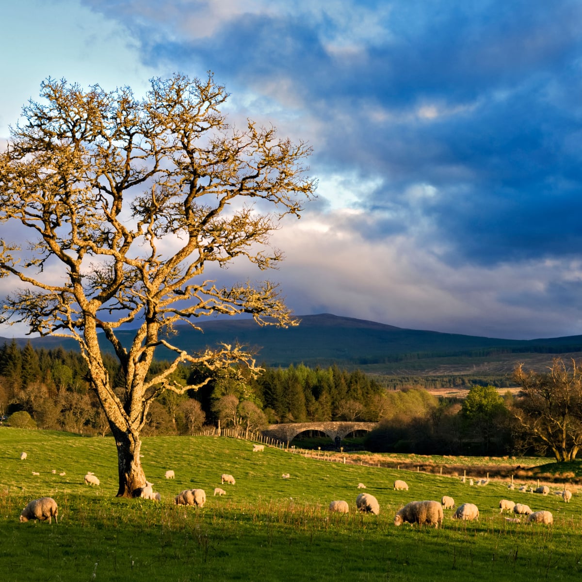 Air in the countryside