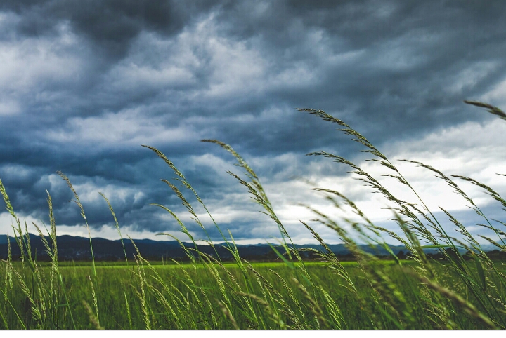 Wandering wind